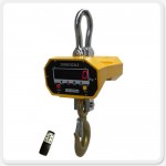 crane scale